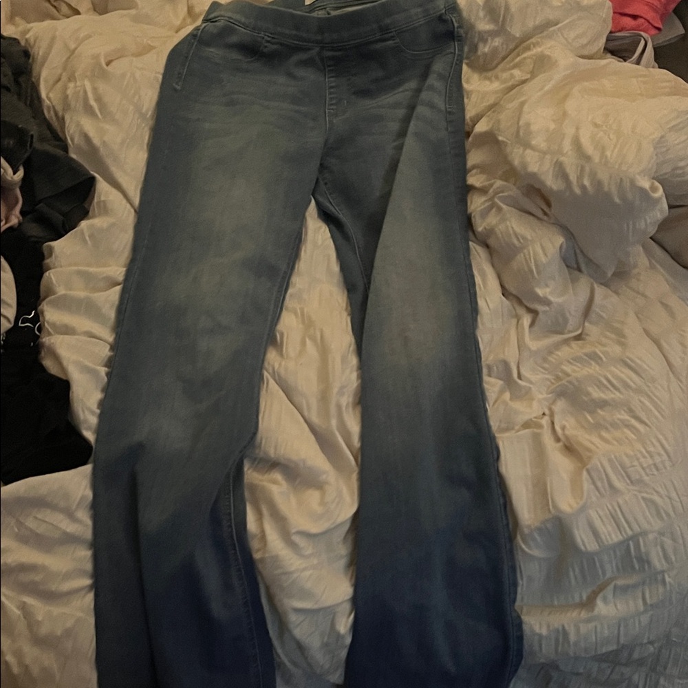 Cello Women's Flare Jeans in Blue